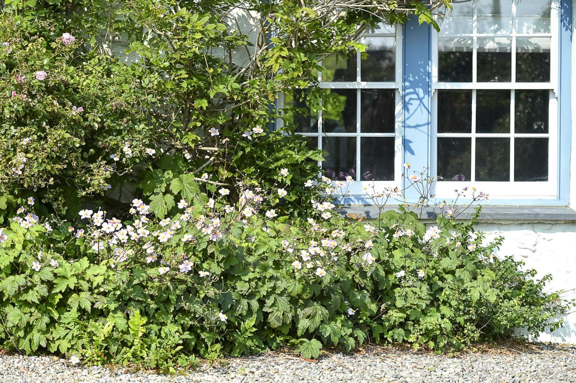 Pen Y Bryn Villa Abersoch Exterior photo