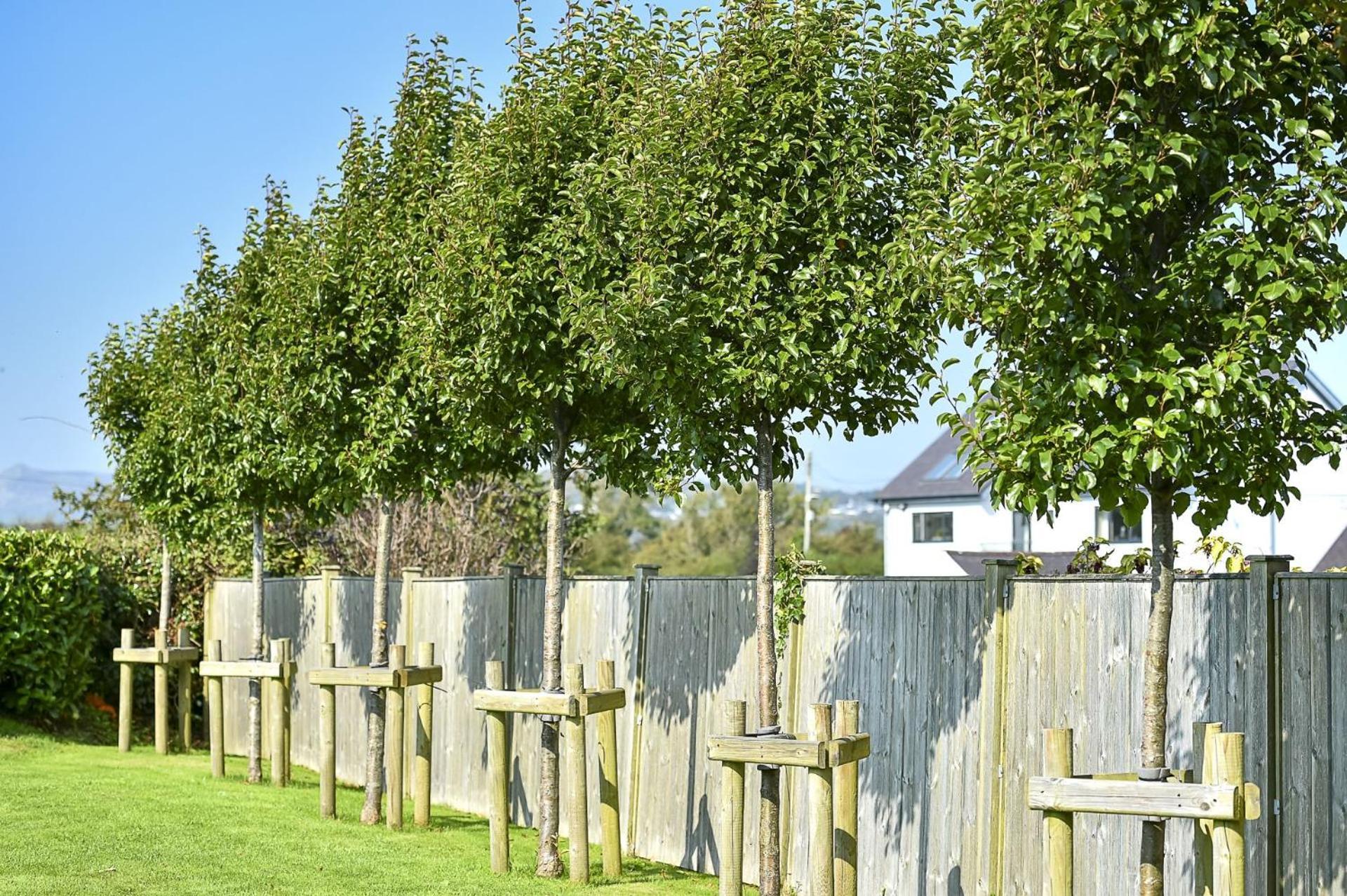 Pen Y Bryn Villa Abersoch Exterior photo